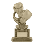 ABOUT-US-MMA-TROPHY-2.png