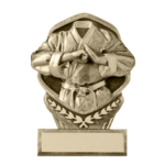 ABOUT-US-MMA-TROPHY-3.png