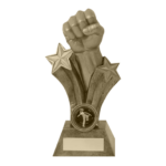ABOUT-US-MMA-TROPHY-4.png