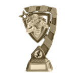 ABOUT-US-MMA-TROPHY-5.png