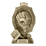 ABOUT-US-MMA-TROPHY-6.png